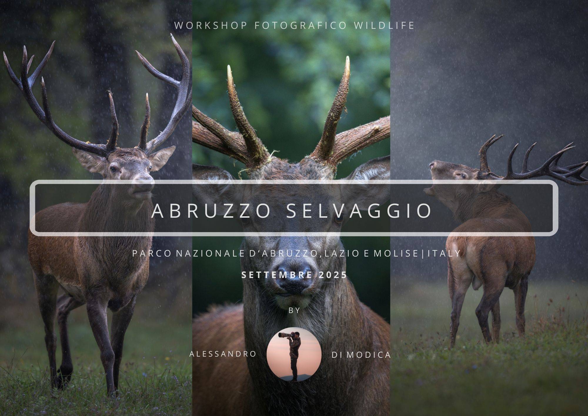 WILD ABRUZZO 12-14 SEPTEMBER 2025